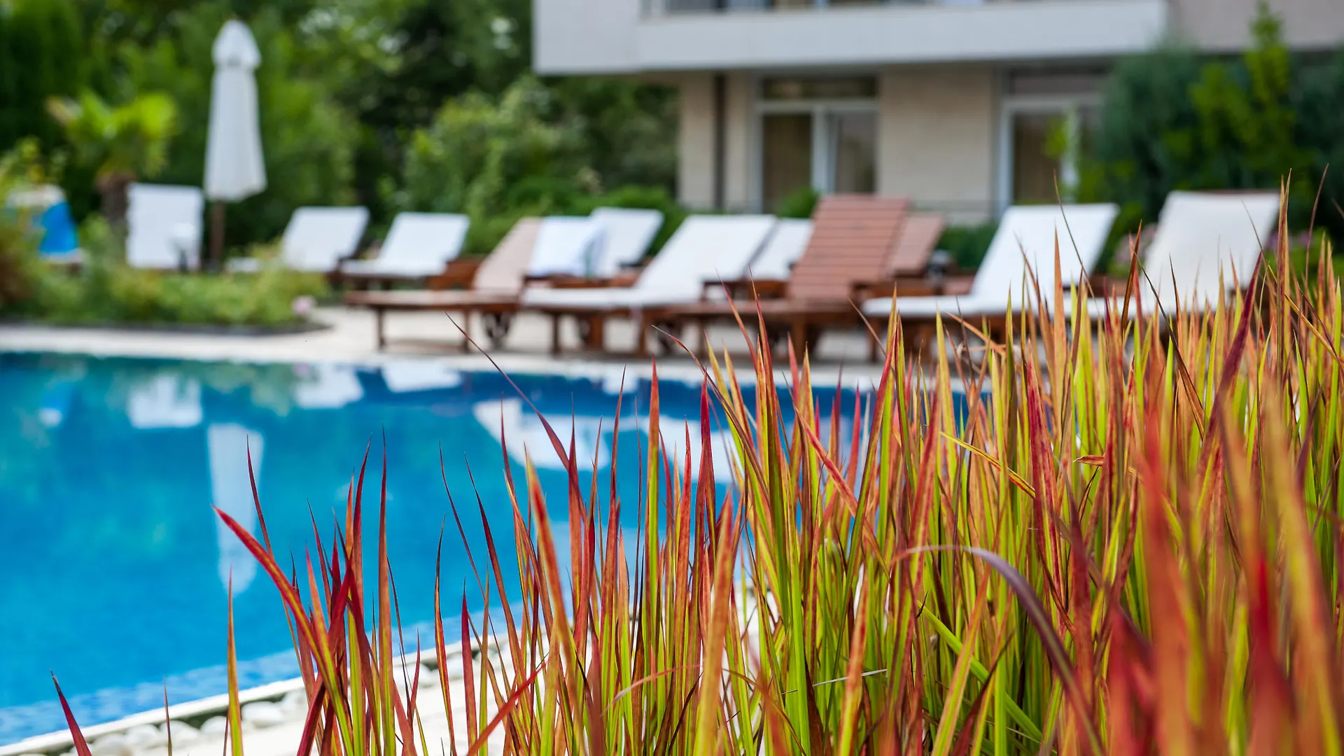 Dawn Park Complex Aparthotel Sunny Beach